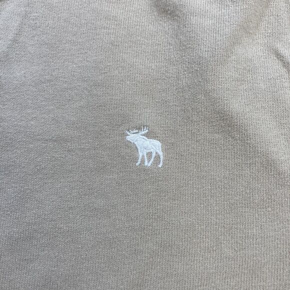 Abercrombie & Fitch Beige Hoodie (Men’s Size L) • Pullover • Sweatshirt • EUC - Picture 2 of 4